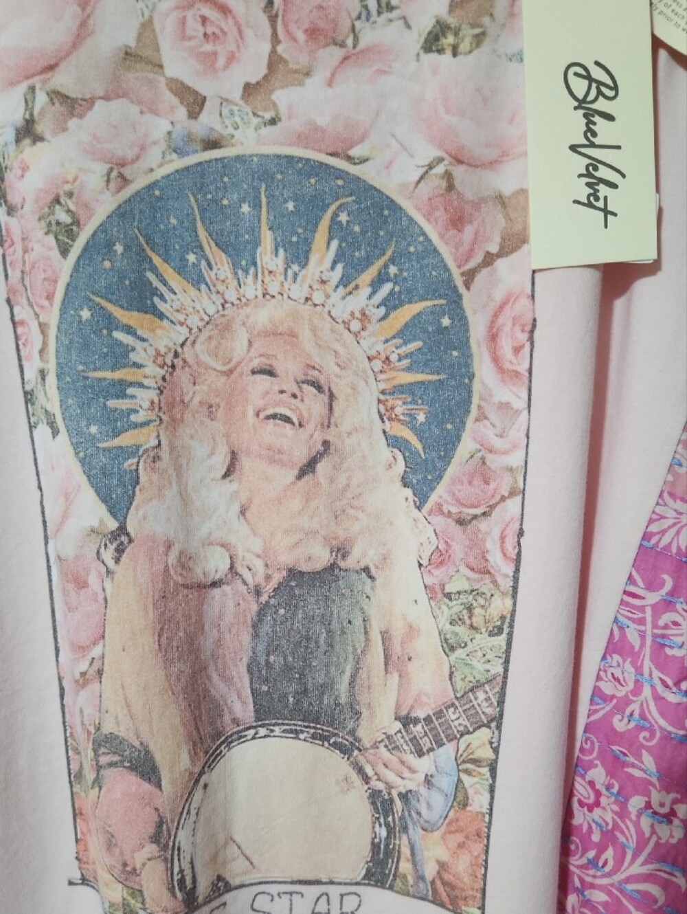 Blue Velvet-Blush Pink Dolly Parton Long Sleeve Top w Floral Patchwork Sleeves - Picture 3 of 4